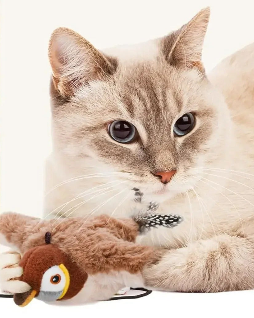 Interactive Catnip Toy with Bird Sounds